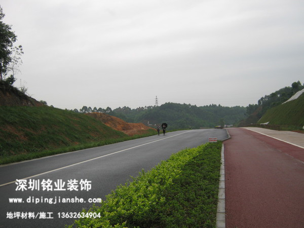 乐山市绿心路-彩色透水混凝土道路