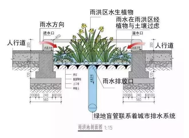 QQ截图20181120110418